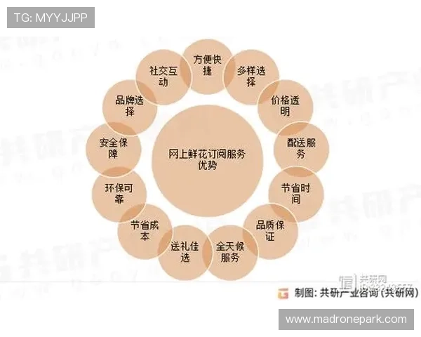 lt乐投行业口碑良好，用户评价与行业排名分析展现其在市场中的竞争优势