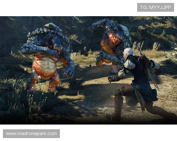 letou瑞丰官方旗舰店多样游戏选择，满足不同玩家的需求