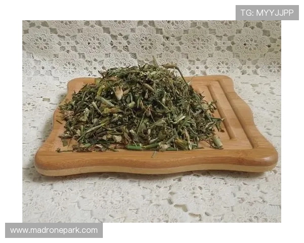 letou 乐投为新手玩家提供详细的操作指南和安全保障，助你轻松开启线上娱乐之旅