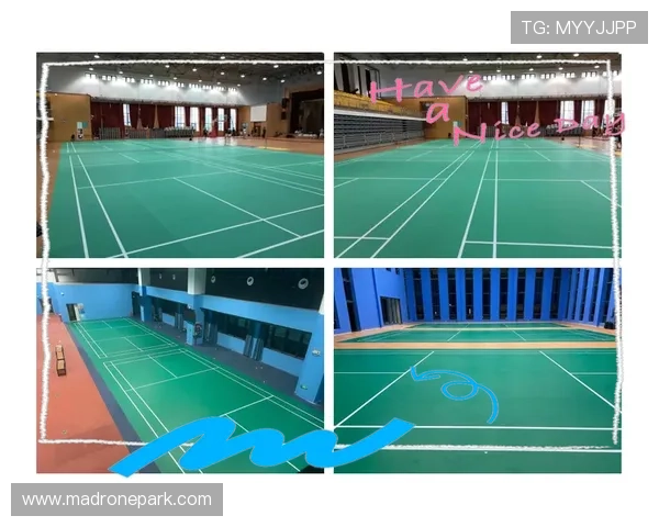 lt体育馆全方位介绍：设施设备、场馆布局与使用指南