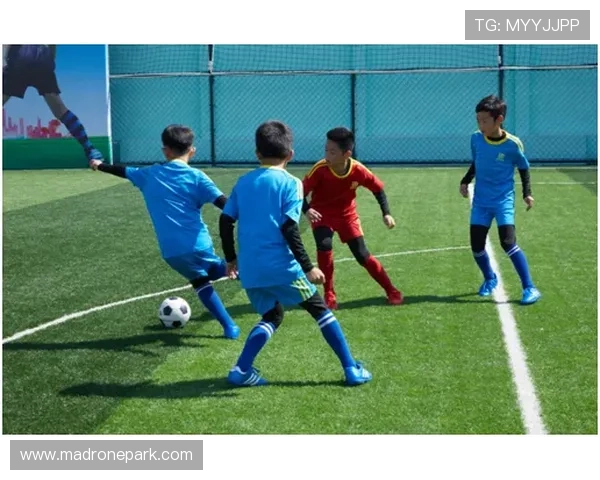 乐动全体育下载后如何快速注册和登录使用指南 乐动全体育下载后如何快速注册和登录使用指南