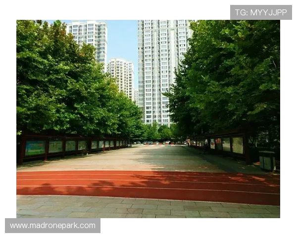 乐天体育登录步骤详解，快速掌握登录操作流程