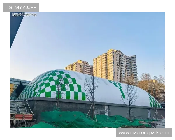 乐宝体育：引领青少年体育发展的创新平台，打造未来体育明星的摇篮