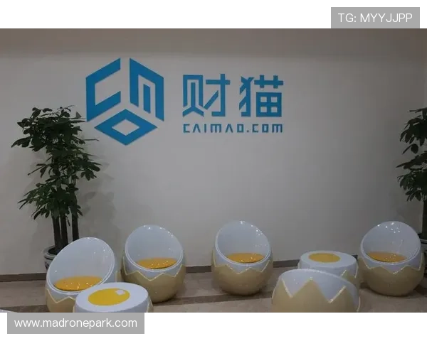 乐投平台：严格的风控体系保障资金安全与公平公正