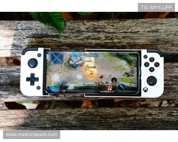 乐投娱乐：安全可靠的游戏平台保障玩家权益，体验放心畅玩的娱乐环境